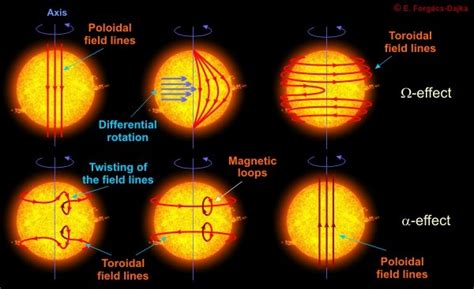 The Sun's Magnetic Field - Science News