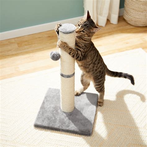 FRISCO 21-in Sisal Cat Scratching Post with Toy, Gray - Chewy.com