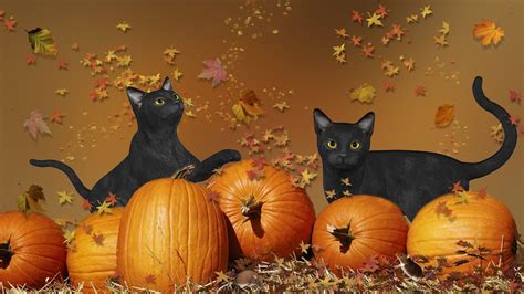 Halloween Cat Desktop Wallpapers - Top Free Halloween Cat Desktop ...