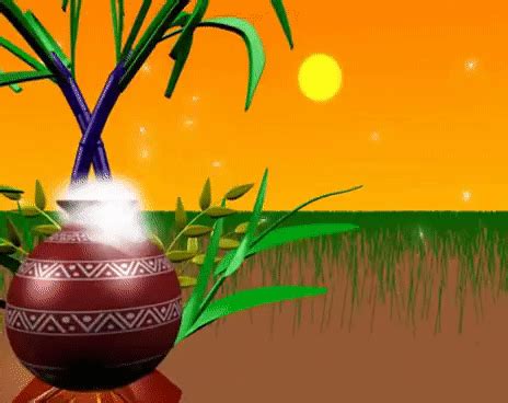 {20+} Pongal GIF Images | Pongal Animated GIF Wishes