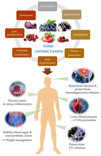 Nutrients | Free Full-Text | Behind the Scenes of Anthocyanins—From the ...