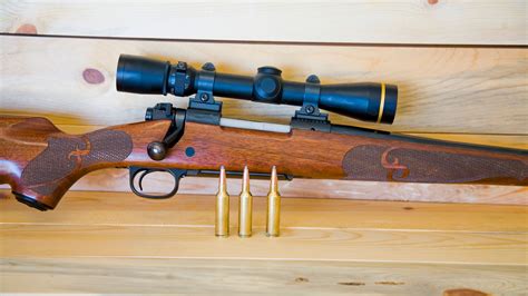 The .270 Winchester Short Magnum: History & Performance | An Official ...