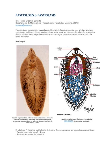 Fasciolosis o Fasciolasis | Medicina CLINICA | Especialidades Medicas