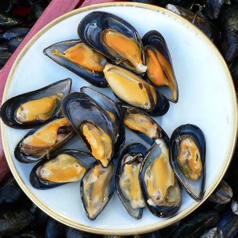 File:Mussels at Trouville fish market.jpg