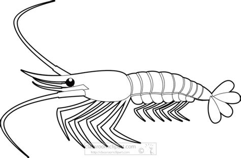 Animals Black and White Outline Clipart - shrimp-marine-animal-black ...