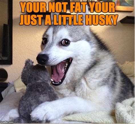 joking husky Memes & GIFs - Imgflip