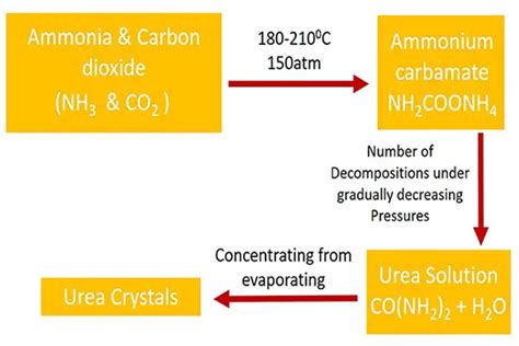 Urea Production and Manufacturing Process and Uses