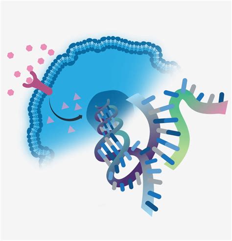 Gene Expression Database - LifeMap Discovery