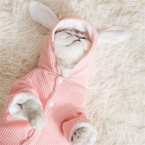 Cute Cat Sweaters Wholesale Cat Clohtes Manufacturer