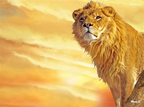 Hd Wallpapers Of Lion, Animal Wallpapers, Wild Life Animals