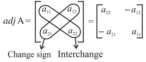 Adjoint of a Matrix (Adjugate Matrix) - Definition, Formula, Examples