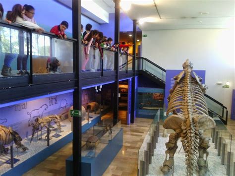 CEIP ANTONIO GARCÍA LÓPEZ (VALENCIA): VISITA AL MUSEO DE CIENCIAS NATURALES