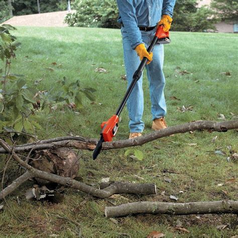 The Best Electric Pole Saws for Smaller Backyards and Gardens | Dengarden