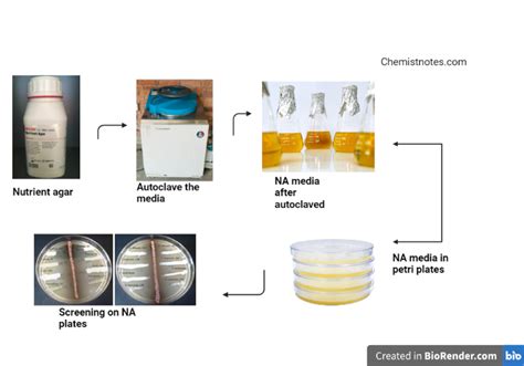 Nutrient Agar: Definition, Composition, and Reliable uses - Chemistry Notes