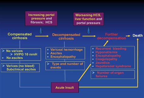 Figure 2.1 from Natural history of cirrhosis. - Semantic Scholar