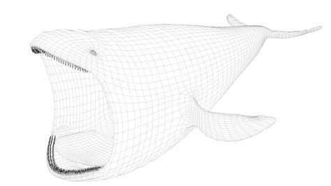 Bloop 3D Model - TurboSquid 1803477