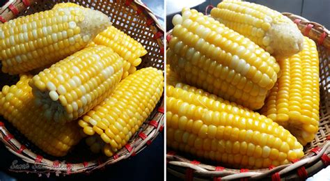 Jagung Rebus Setiap Hari