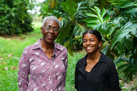 EatAhFood - Breadfruit Oil Down