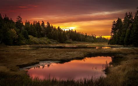 sunset, Lake, Forest, Landscape, Reflection Wallpapers HD / Desktop and ...