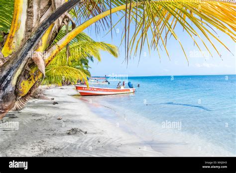 Starfish Beach panama Stock Photo - Alamy