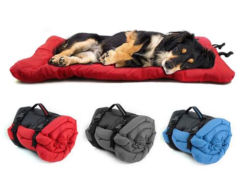 Our Pick of The Best 10 Waterproof Dog Beds (2021) | UKPets