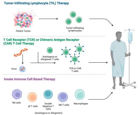 Cancers | Free Full-Text | Adoptive Cell Therapy for T-Cell Malignancies