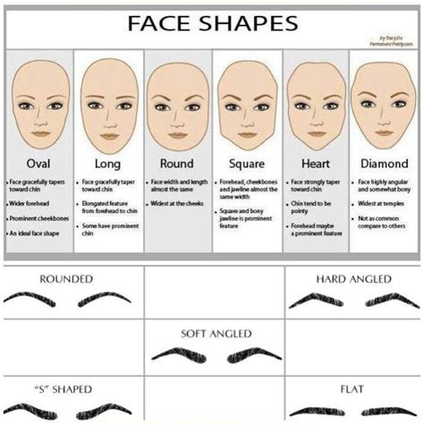 Pin by Linda & David Meyer on Knowledge | Eyebrows for face shape, Face ...