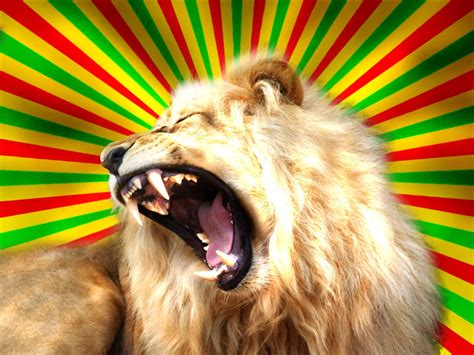 Rasta Lion Wallpapers - Wallpaper Cave