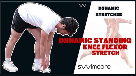 Dynamic Standing Knee Flexor Stretch - YouTube