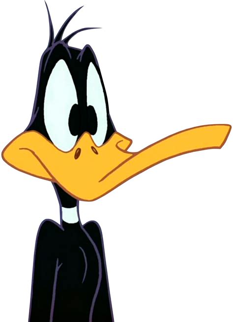 Daffy Duck (Looney Tunes Show) Vector 2 by ToonAniMexico15 on DeviantArt