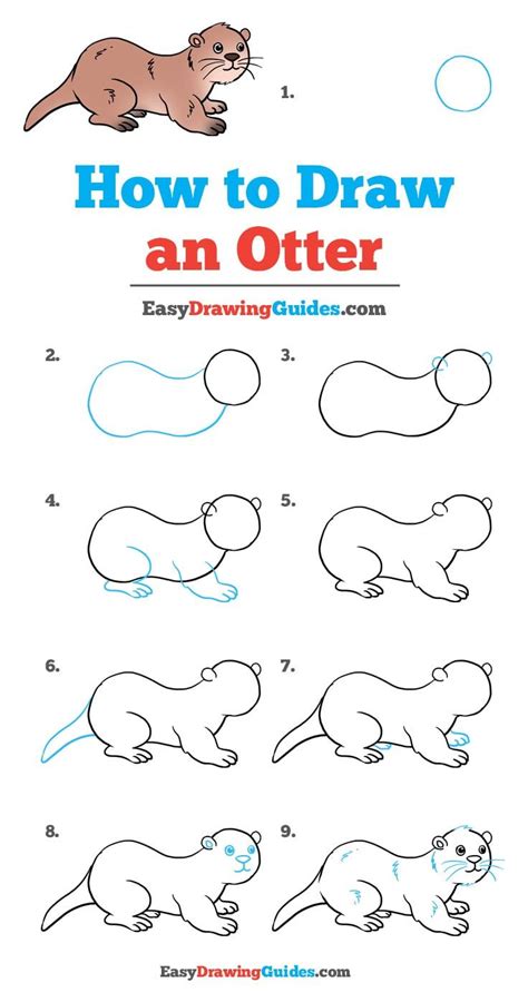 How to Draw an Otter - Really Easy Drawing Tutorial | Drawing tutorial ...