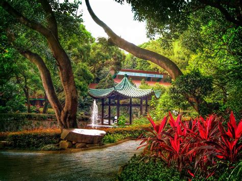 Kowloon Park, Hong Kong - Pool, Sports Centre