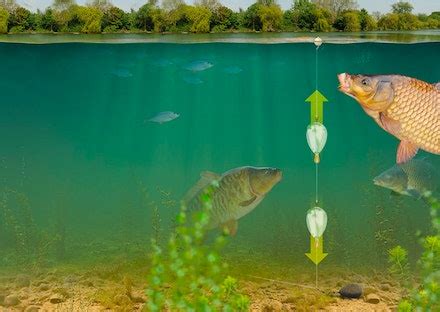 The only carp rigs you’ll ever need! | Angling Times