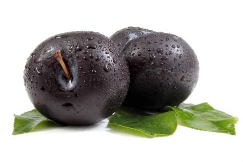 12 Different Types of Plums – PopOptiq