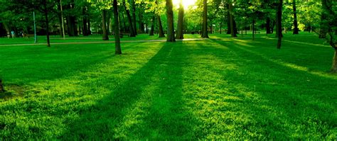 Beautiful nature wallpaper, Green nature wallpaper, Green nature