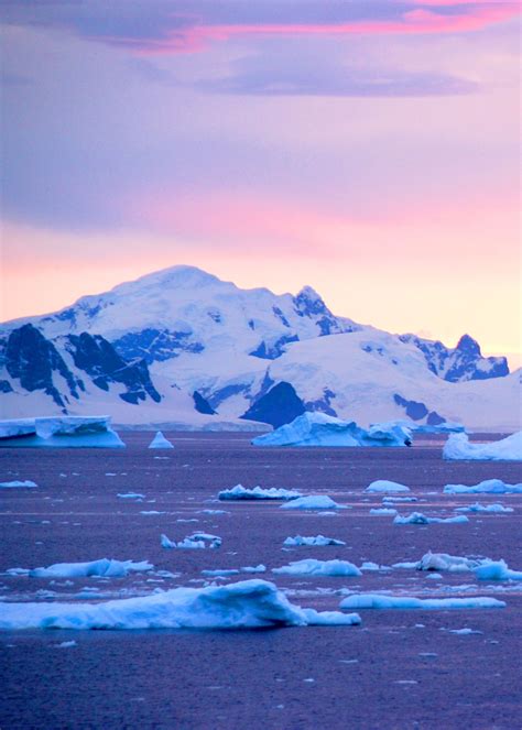 Antarctica Cruise Adventure | Hideaway Report | Travel photography ...