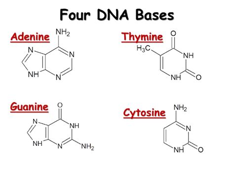 savvy-chemist: GCSE OCR Gateway Organic Chemistry C6.2h The Structure ...