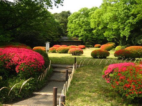 File:Meiji Shrine Inner Garden.JPG - Wikipedia