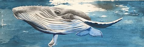 "Majestic Humpback Whale" watercolour and acrylic painting on canvas ...