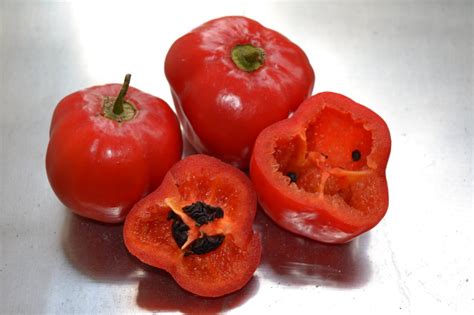 Rocoto Manzano, locoto chili seeds (Capsicum Pubescens)