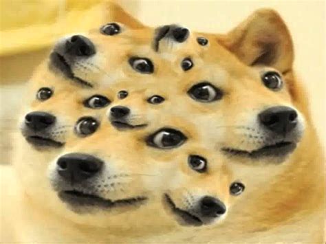 Doge Meme Top 50 Funny Memes Video HD - YouTube | Doge meme, Doge, Doge dog