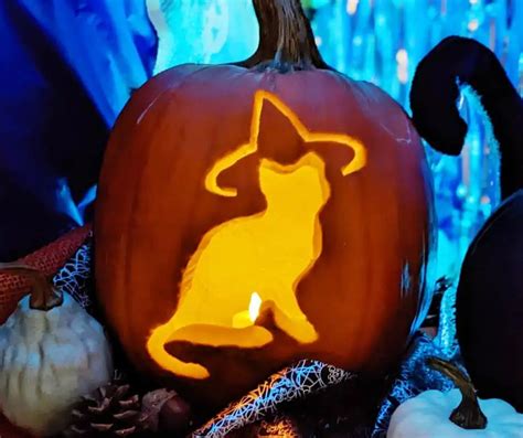 Cat Inspired Pumpkin Carving Patterns | ACANA