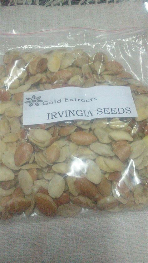 Irvingia Gabonensis Seeds at Best Price in Bangalore | Gold Extracts