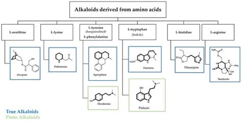 Alkaloid Periodic Table