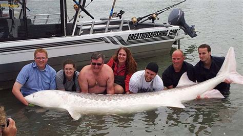 a group of people posing for a photo with a large fish in the water ...