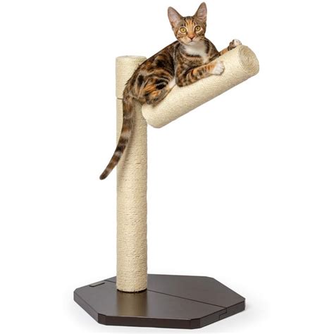 Best Cat Scratching Posts and Pads - Top 13 Reviews and Ratings in 2021