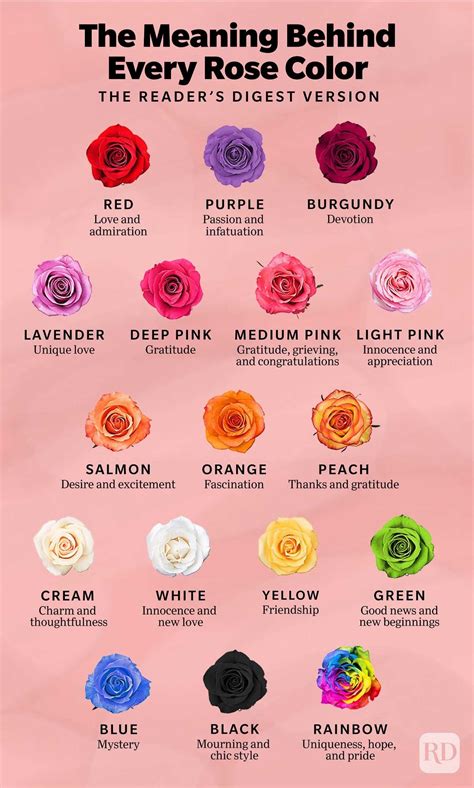 Roses And Their Different Meanings