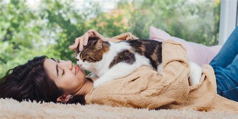 Why Does My Cat Always Want To Cuddle? - Cats.com