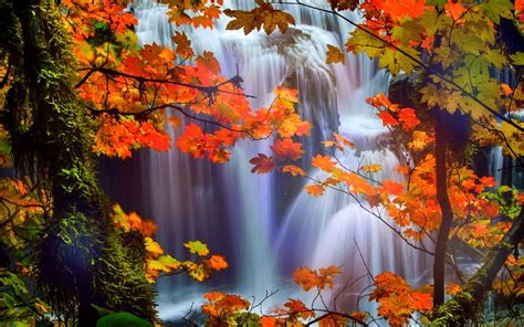 Beautiful Fall Scenery Wallpaper