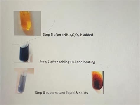 Solved Unknown before reactions step 2 after thioacetamide | Chegg.com